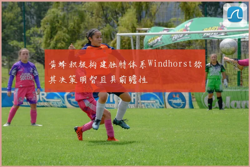 黄蜂积极构建独特体系Windhorst称其决策明智且具前瞻性