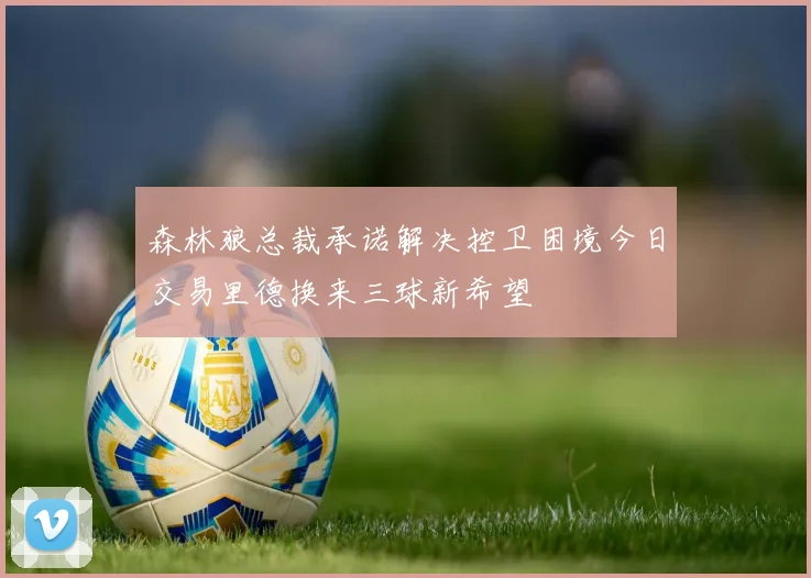 森林狼总裁承诺解决控卫困境今日交易里德换来三球新希望